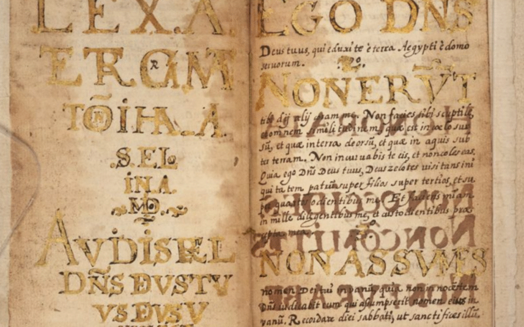 The Weekly News Nosh – November 30, 2025