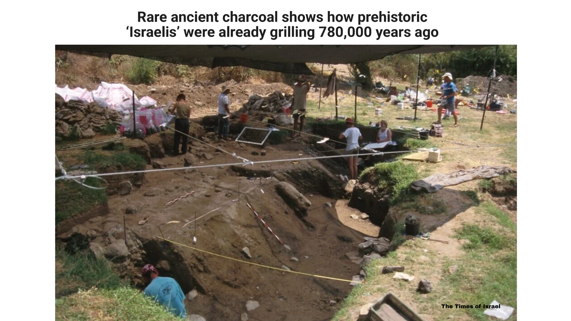 Close-up view of ancient charcoal remains and archaeological material from a prehistoric site.